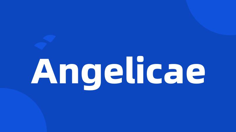 Angelicae