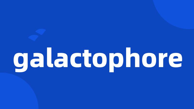 galactophore