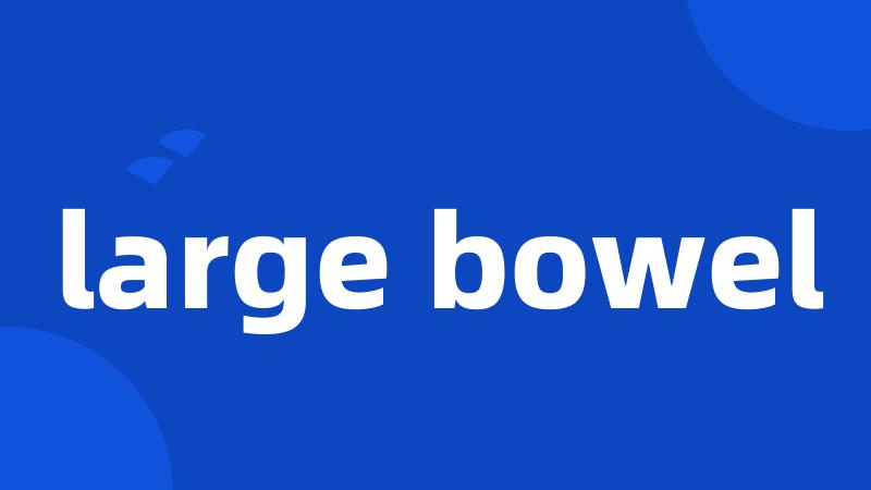 large bowel