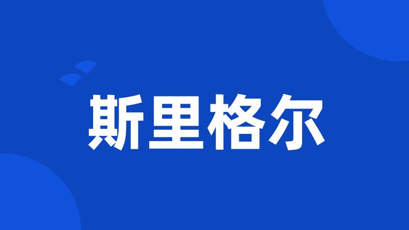 斯里格尔