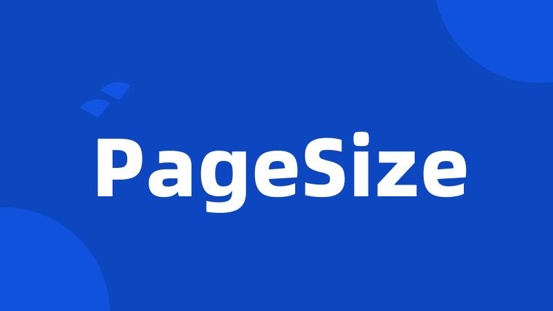 PageSize