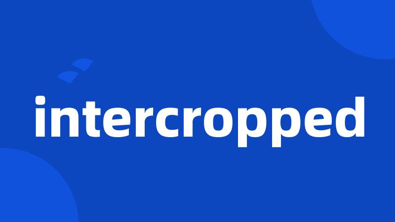 intercropped