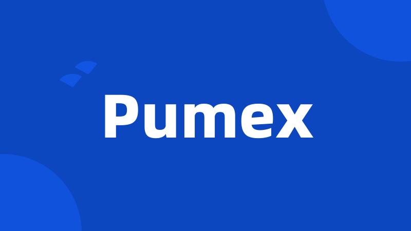 Pumex