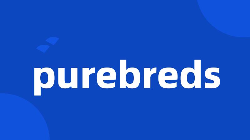 purebreds