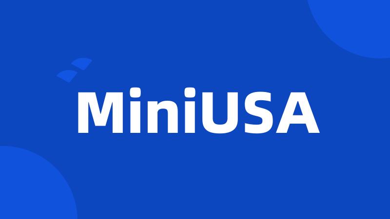 MiniUSA