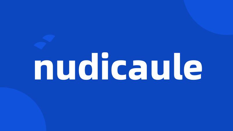 nudicaule