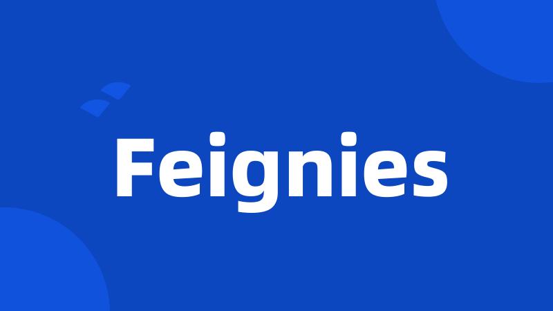 Feignies