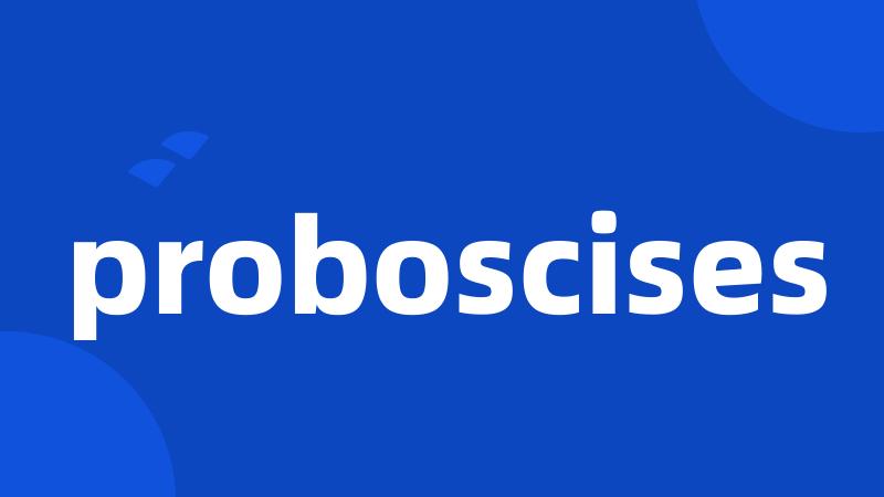 proboscises