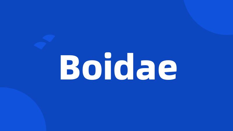 Boidae