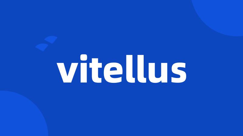 vitellus