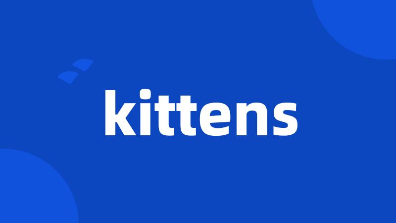 kittens