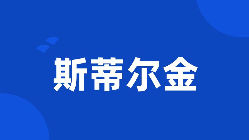 斯蒂尔金