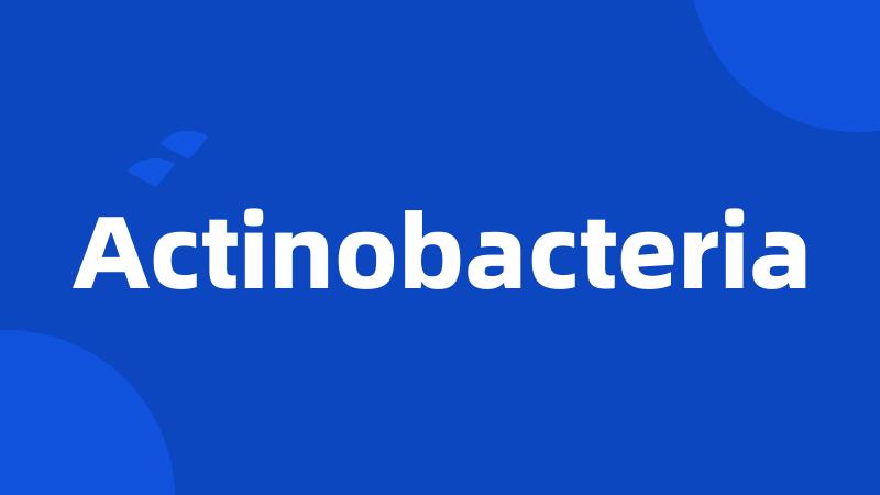 Actinobacteria