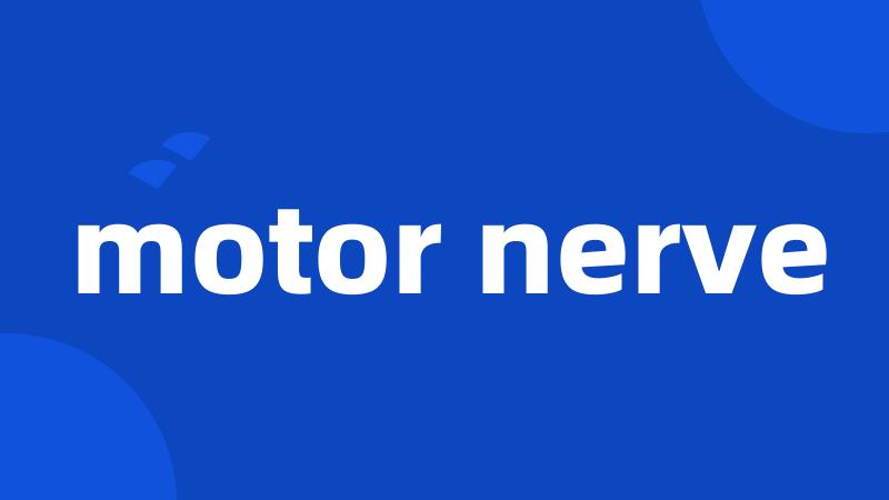 motor nerve