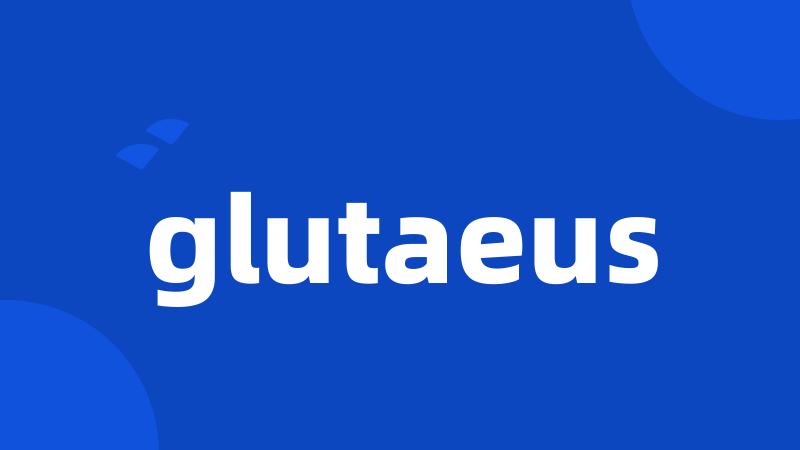 glutaeus