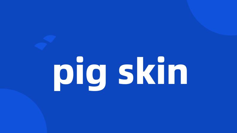 pig skin