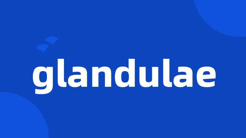 glandulae