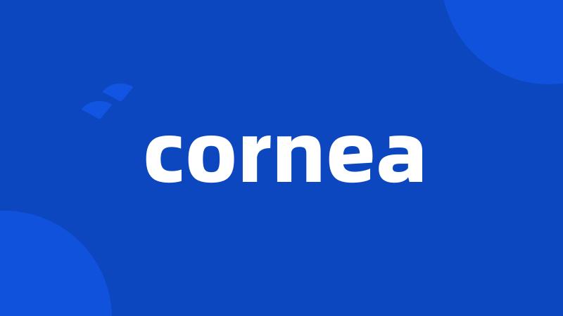 cornea