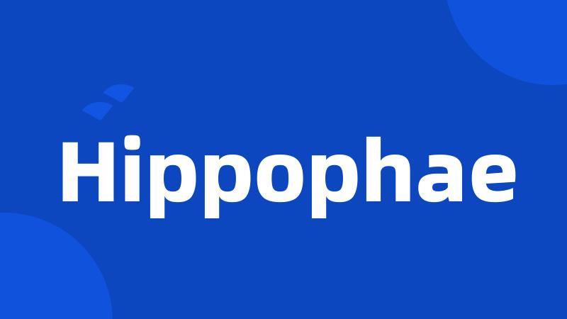 Hippophae