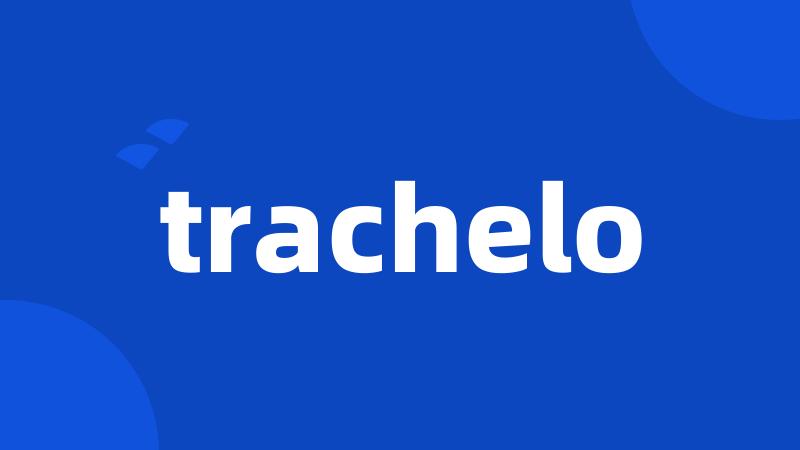 trachelo