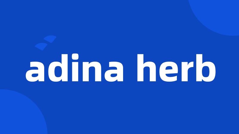 adina herb