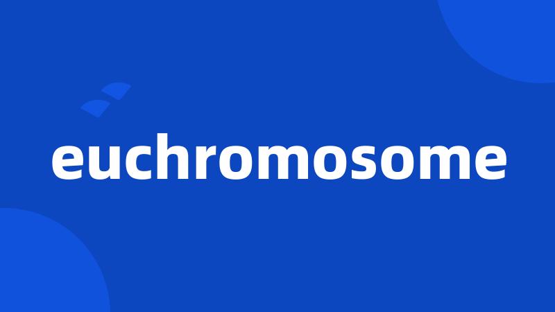 euchromosome