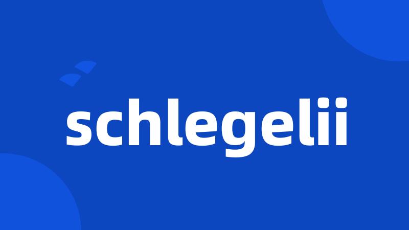 schlegelii