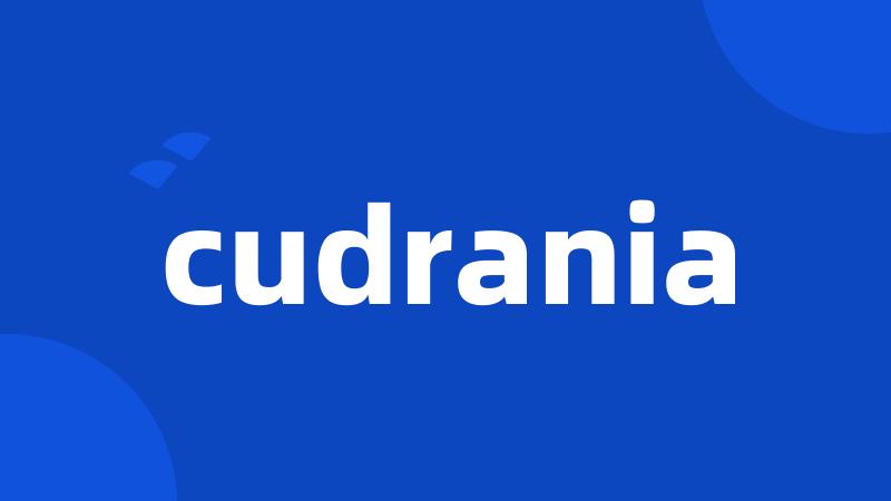 cudrania