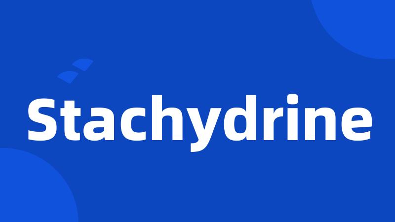 Stachydrine