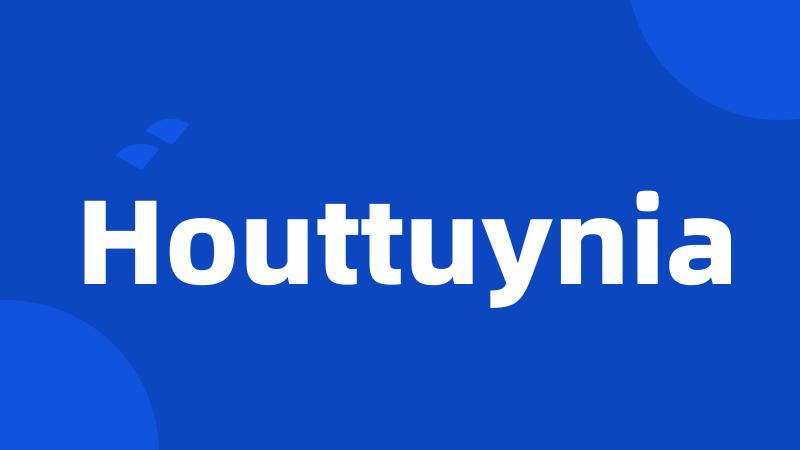 Houttuynia