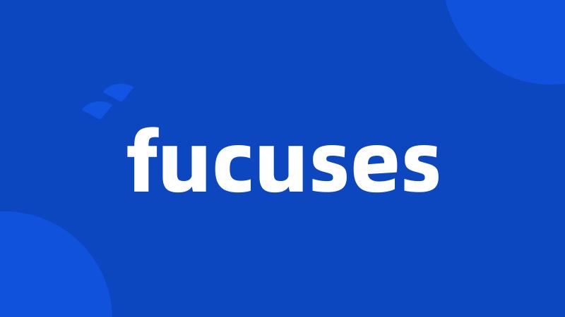 fucuses