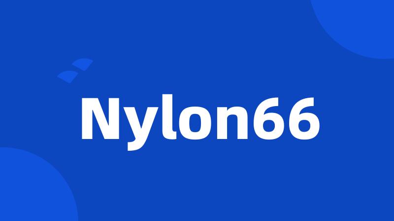 Nylon66