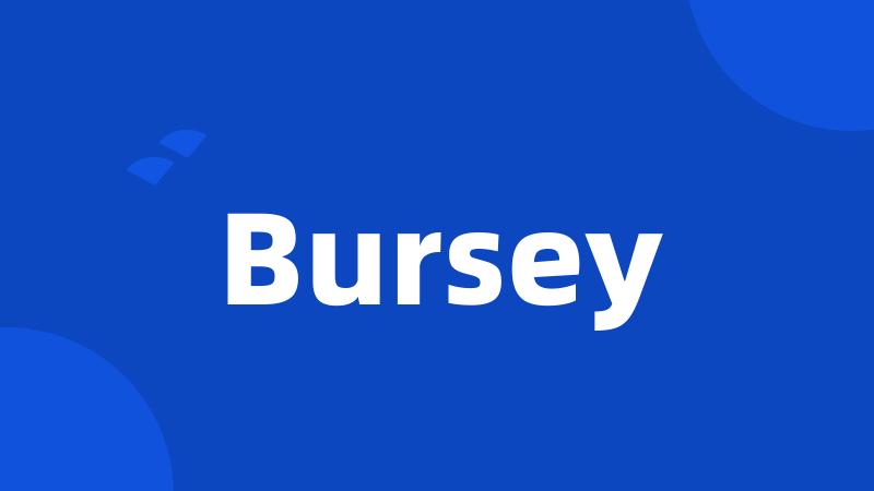 Bursey