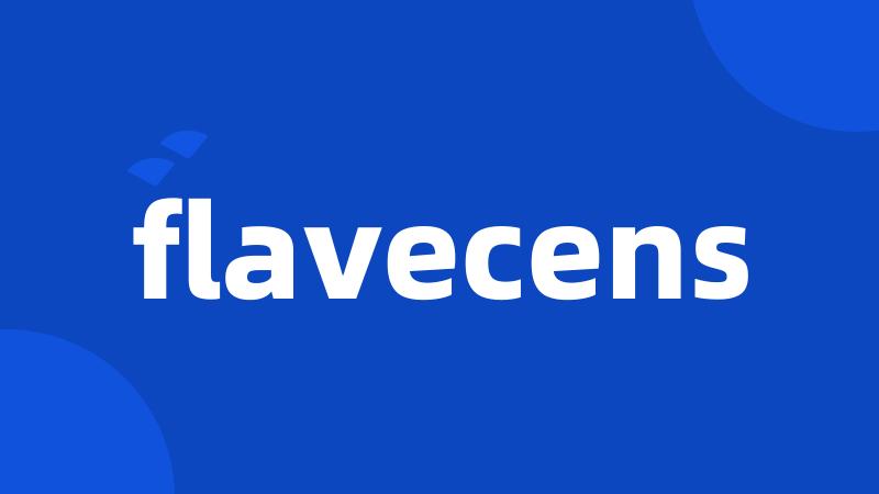 flavecens