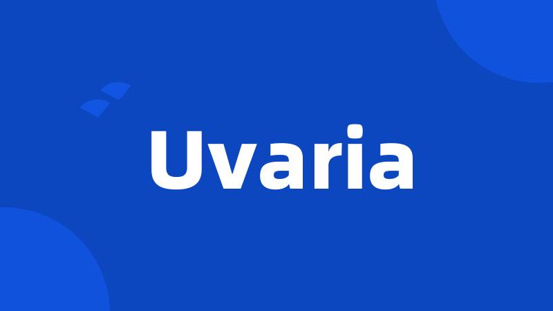 Uvaria