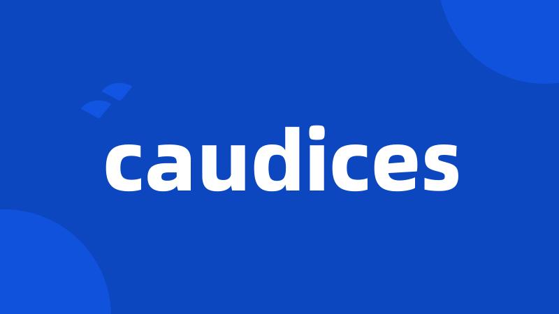 caudices