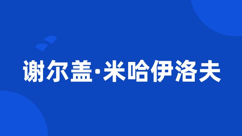 谢尔盖·米哈伊洛夫