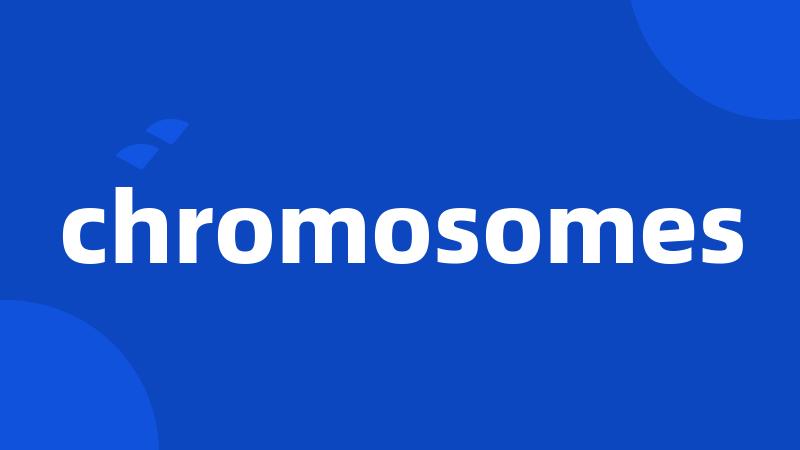 chromosomes