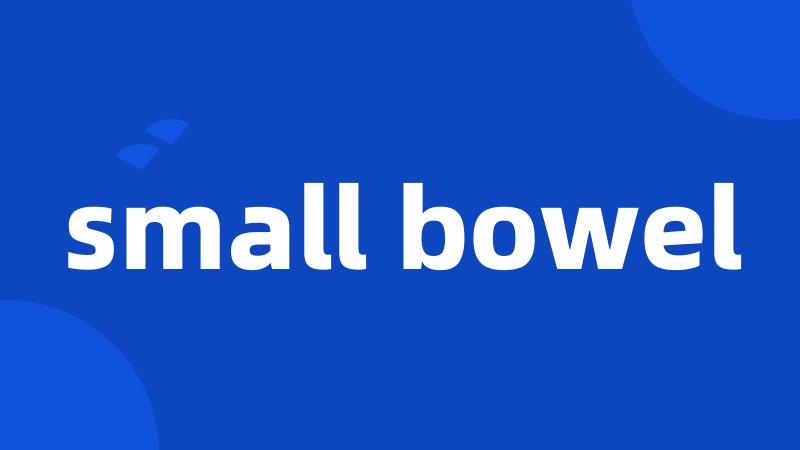 small bowel