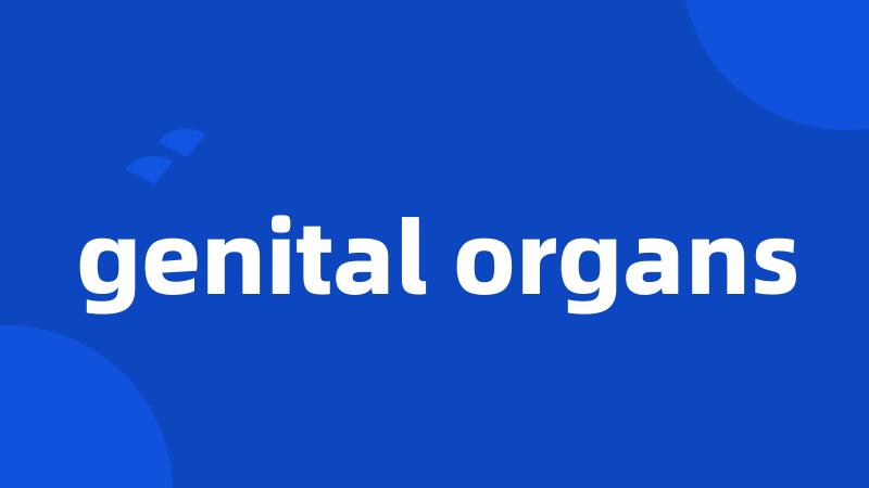 genital organs