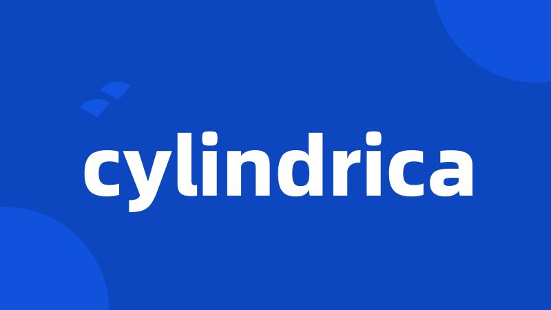 cylindrica