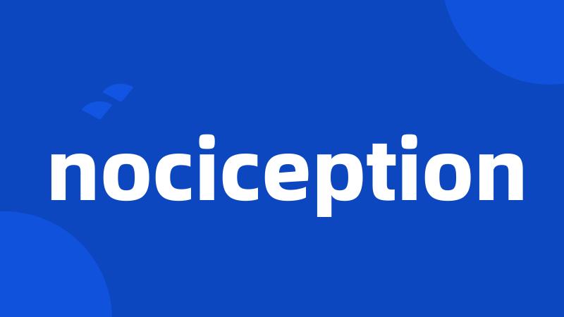 nociception