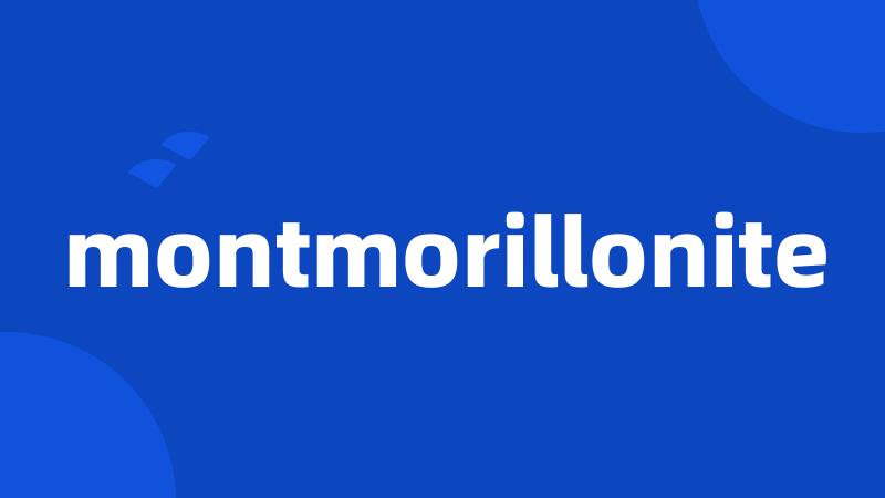 montmorillonite