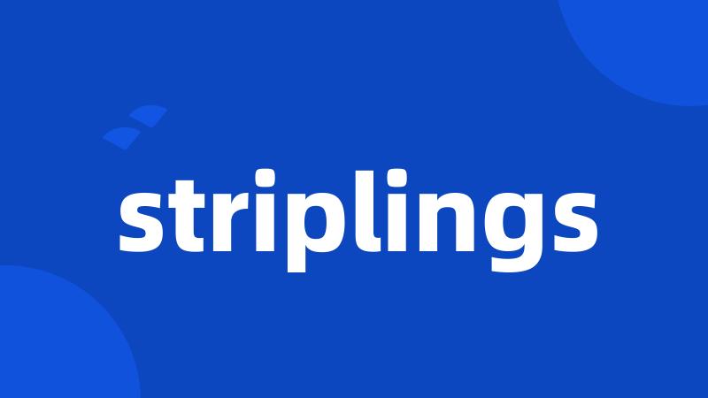 striplings