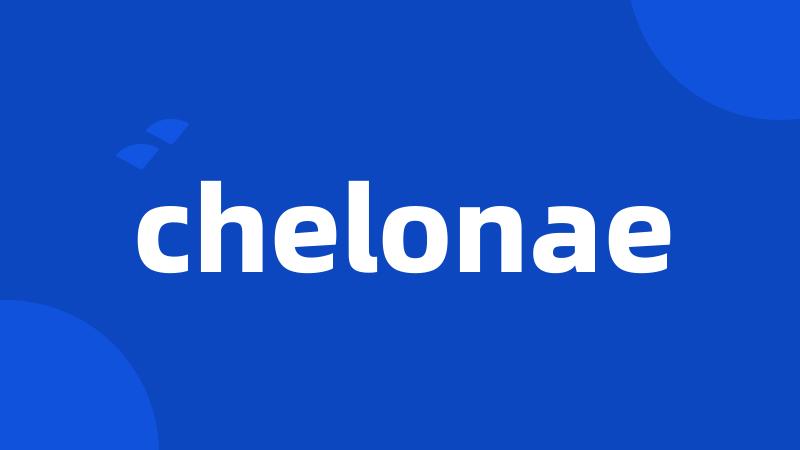 chelonae