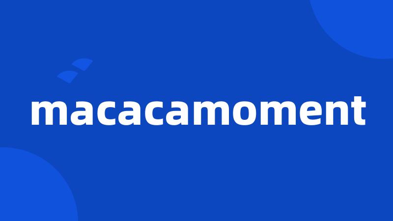 macacamoment