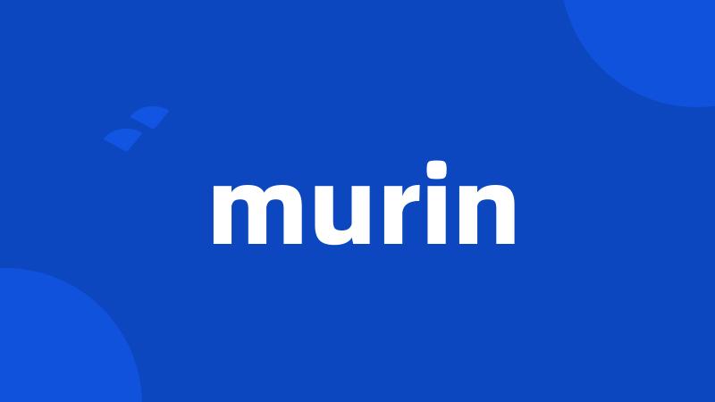 murin