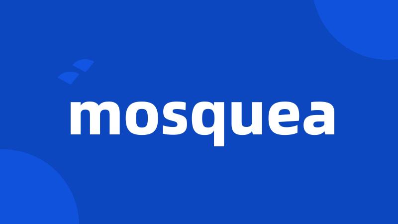 mosquea