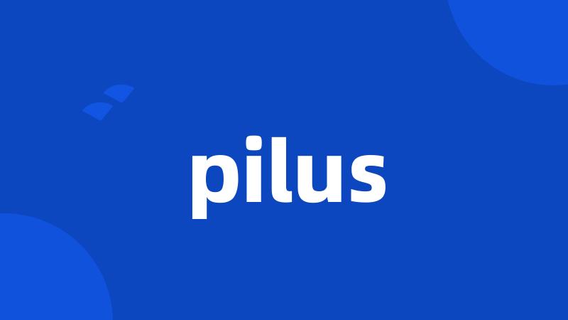 pilus