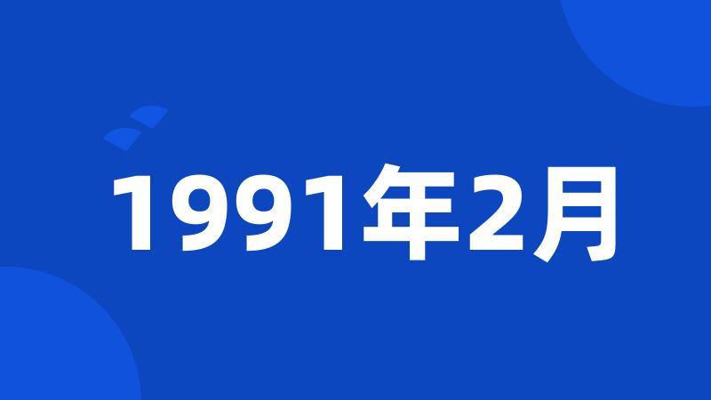 1991年2月